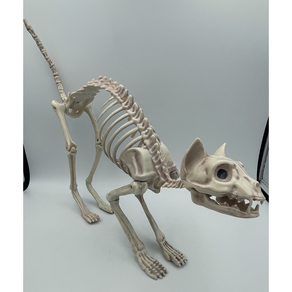 Halloween Animal Cat Skeleton Decoration Realistic Scary Horror Prop Haunted 16"